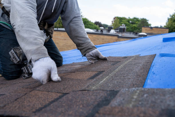 Best Gutter Installation and Roofing  in Cottonwood, AL
